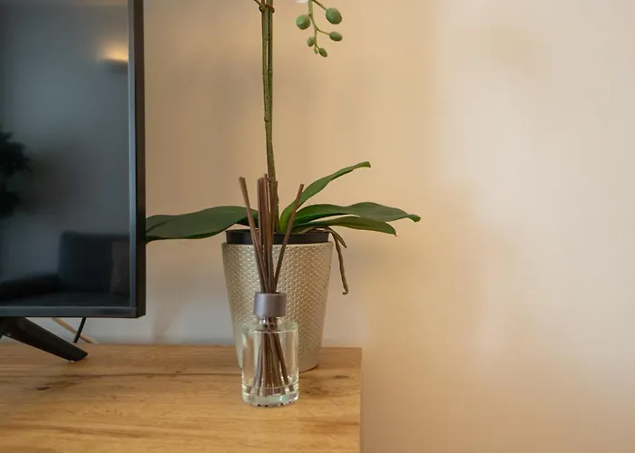 Charming Apartment With Balcony, Close To Stephansdom Cathedral